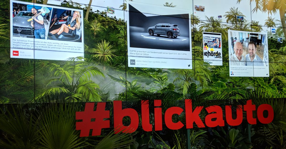 Interaktive Social Experience im Blick Jungle Café